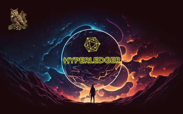 Nền tảng blockchain riêng tư: Lợi ích và lựa chọn hàng đầu - Nguyên tắc cơ bản về Hyperledger